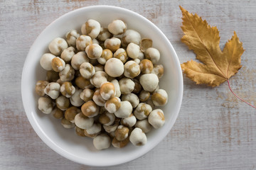 Wasabi Peas in a Bowl