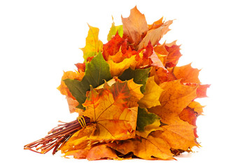 A bouquet of autumn leaves