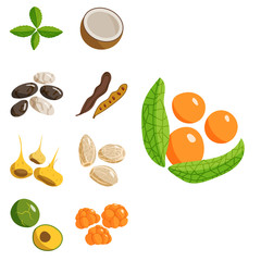 Vegetarian food healthy vegetable and fruits restaurant dishes cartoon berry vector.