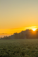 Fototapeta na wymiar Yellow Misty Morning Sunrise with Rays of Sun