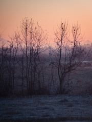 Winter sunrise over the ice-cold countryside.