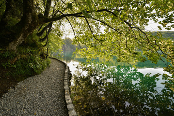 Fototapeta premium Plitvice Lakes, Croatia