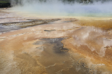 sulphur pool with cloud reflections and steam rising in Yellowstone National Park in Wyoming
