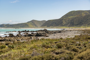 Fototapeta na wymiar Wainuiomata Coast, New Zealand