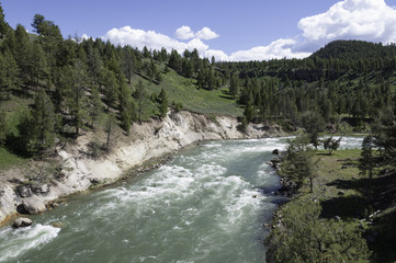 Fototapeta na wymiar green rushing waters of the Yellowstone River in Wyoming