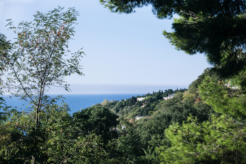 Fototapeta na wymiar Blue sea, clear sky, trees, houses.