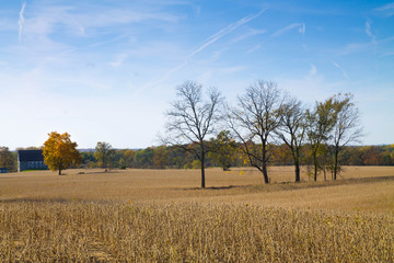 Fototapeta premium Fall landscape1