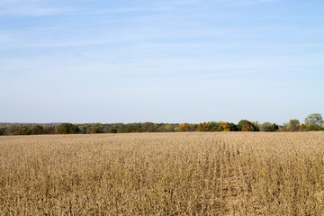 fall_landscape3