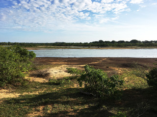 A beautiful day at the lakes in a safari park