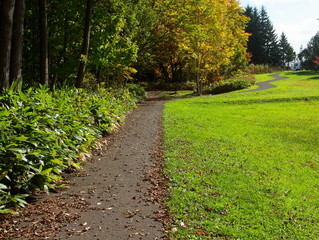 Autumn leaves of Sapporo park　