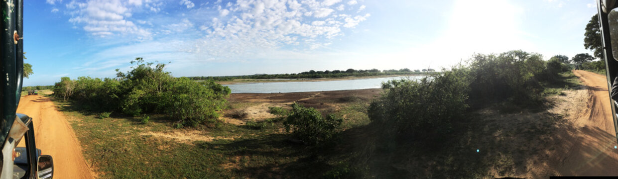 panorama picture of the safari from a jeep driving on a dirt road