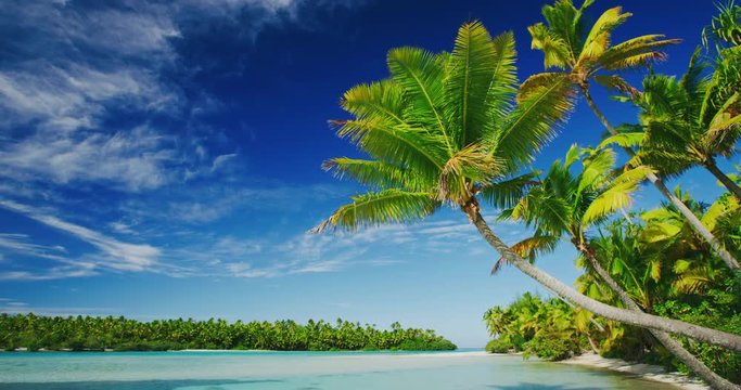 Tropical Island Paradise