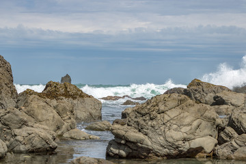 Rocky Shore New Zealand