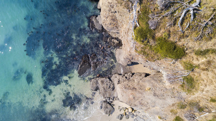 beach tide pools 