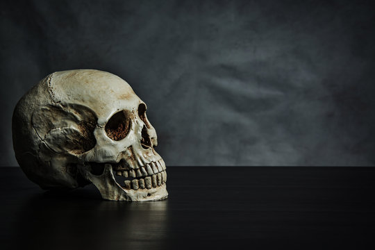 skull on the table , still life