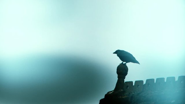 Stylised spooky shot of an old crow taking flight in slow motion off an old chapels roof