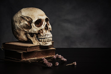 skull on the table , still life