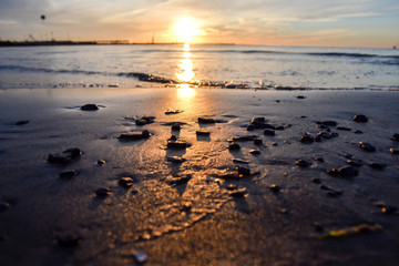 Sometimes you find a peace of the soul just walking in the beach. 