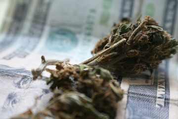 Twenties With Marijuana Buds Close Up High Quality 