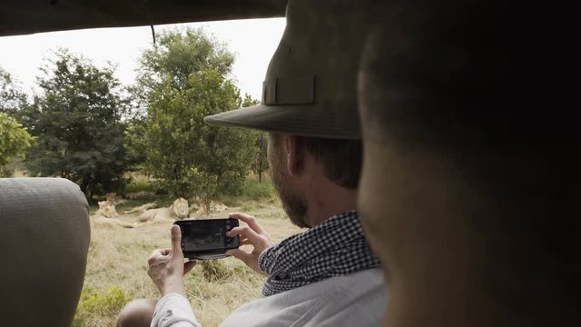  Tourist in safari vehicle taking photo of wild lions in Zambia, Africa