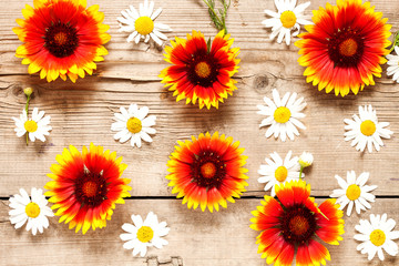 Obraz premium Flower background.