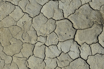 Dry soil cracking