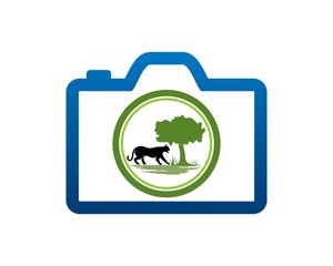 wild life photography 