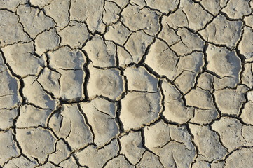 Dry soil cracking