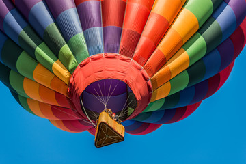 Colorful Flight © Greg Meland