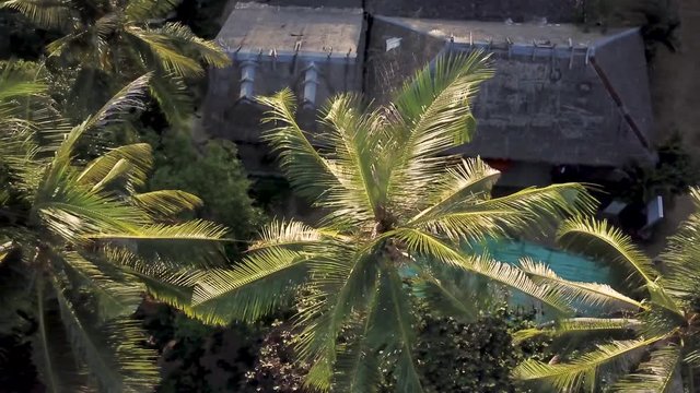 Aerial camera angles down view is straight down as it moves over a lush tropical grove with thatch huts, palaces, palm trees and green grass. Continuation from prior clip.