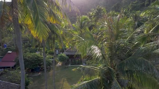 View of beautifully backlit palm trees and views of a backpacker village for tourists on Koh Tonsai, Cambodia, a southeast asia travel destination.