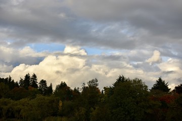 nature