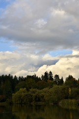 nature