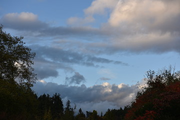 nature