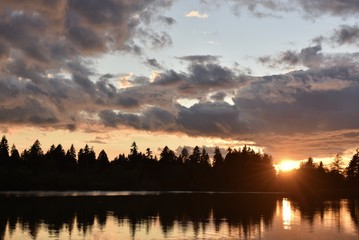 nature