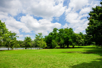 Green Park. Green Park in Urban City at Cloudy, excercise and relax