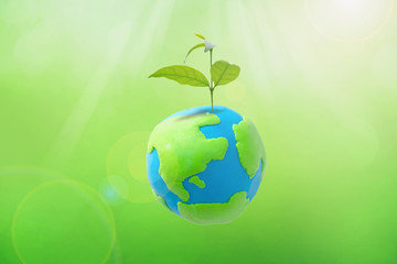 Planting tree in green globe , Environment conservation ,CSR Abbreviation or Corporate Social Responsibility
