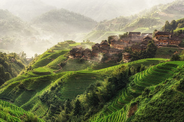 Curtains longji rice terrace