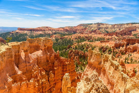 Beautiful view of Bryce Canyon at Sunrise Point, Bryce Canyon National Park, Utah, United States