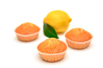 Lemon muffins on white background