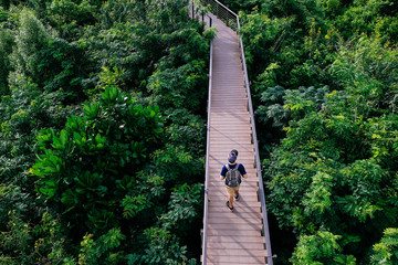 Aerial view of young man traveling and walking on the forest walkway trail - travel and recreation...