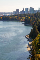 Stanley Park and the City