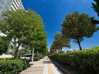 幕張の高層マンション街