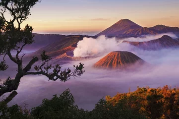 Fototapeten Mount Bromo Indonesien © WONG SZE FEI