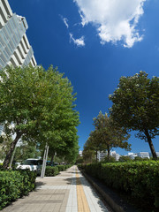 幕張の高層マンション街