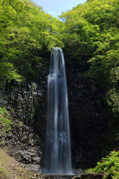初夏の玉簾の滝　Tamasudarenotaki in early summer / Sakata, Yamagata, Japan