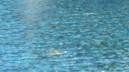 Beautiful refreshing blue swimming pool water