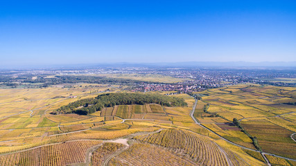 Vignoble alsacien en automne