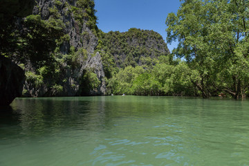 Obraz premium Mangroven Wald Phang Nga Bay