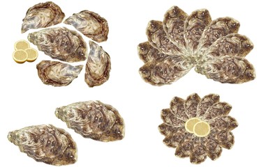 composition d'huîtres 